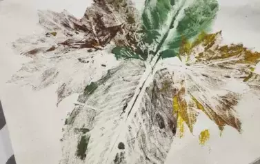 463451347_562377506330996_1722294059734304763_n