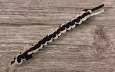 465653698_576645164904230_5971568315291371076_n