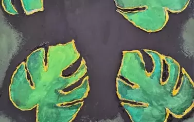 487201201_679725521262860_6809648710251319936_n