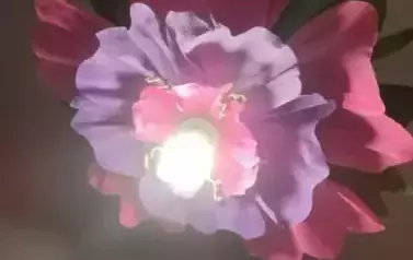 497569664_712901591278586_6494267943372116767_n