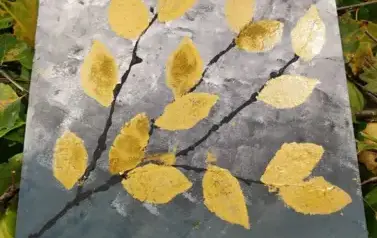 568461977_843310458237698_9217305272609005696_n