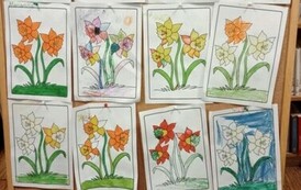 437569514_826460432838769_1629347688421245846_n