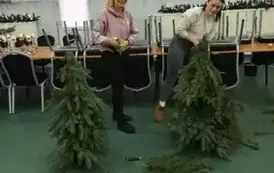 d0906749-a63a-4ad9-9b60-12dbcfb4c9c9