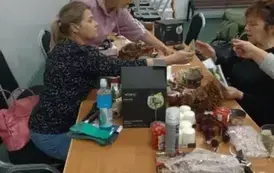 db258fa8-6223-4425-bb53-4dea4a0939f8