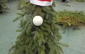 62aa51e2-0e93-4d5c-ad16-461fc7e68ab2