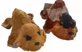 463454817_561616763073737_2947545352457586040_n