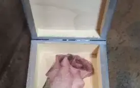 464985892_575372291698184_4477369289986174965_n