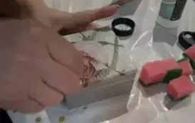 465644783_575373041698109_3975039012729138198_n