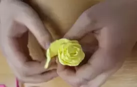 479740577_645410828027663_6633366392132632151_n