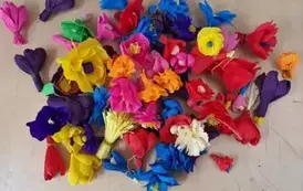 486077908_673860268516052_8132515382347636302_n