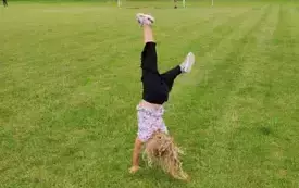 523399480_768921122343299_4218842292200025751_n