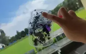 541787975_800778779157533_1261696333475444239_n