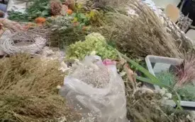 550336744_811855534716524_6322922060451820171_n