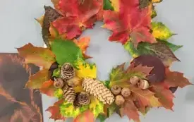 557420179_823007226934688_5826591185278420877_n