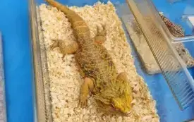 505090070_731199106115501_4086900251077243817_n