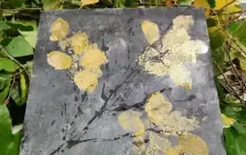 569003343_843310364904374_820133215291989983_n