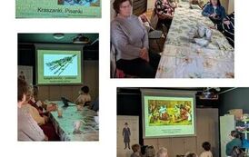 Projekt bez nazwy (4)