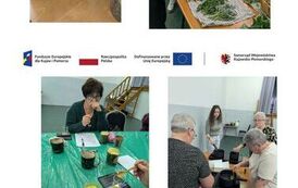Projekt bez nazwy (4)