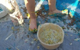 352786135_270404525528297_2011934338405429185_n