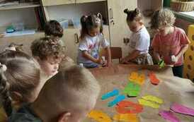 Zdjęcie WhatsApp 2023-06-21 o 11.11.11e