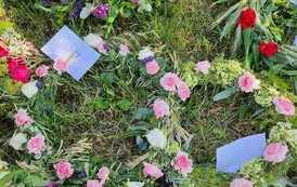 356238857_279643157937767_6957179623078184376_n