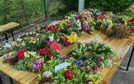 355129530_279578957944187_6602397472925446226_n