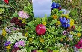 355020576_279643124604437_1799424450458168098_n