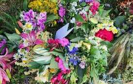 355006896_279643234604426_7473588225428999686_n