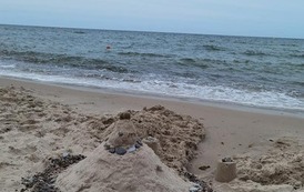 366264778_302762885625794_1583211554932199847_n