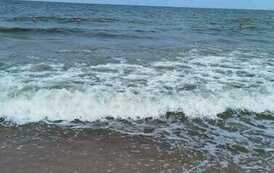 365271710_302763128959103_354342246572817524_n