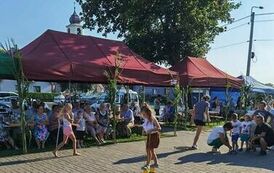 369638722_310295388205877_5748833503508714277_n