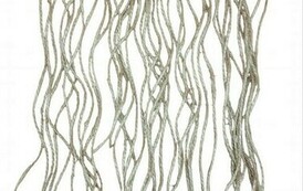 399177617_352848857283863_6224100428272984575_n