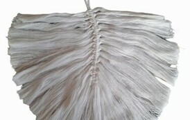 433946482_434817982420283_1878694991155837898_n