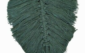 433869480_434818042420277_7680511256355242549_n