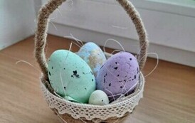 434058920_434819252420156_5146015029387864338_n