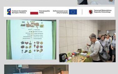 Projekt bez nazwy (1)