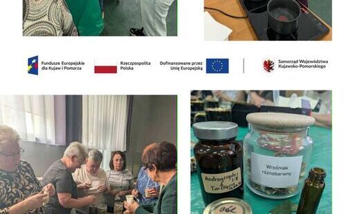 Zdjęcie do 12.05.2026 r. &bdquo;POCIĄG DO ZDROWIA I KULTURY- Życie w Dębowie zaczyna się po 60- tce&rdquo;- Przystanek Zioła- warsztaty zielarskie